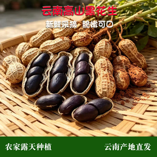 2026新货云南高山富硒黑花生