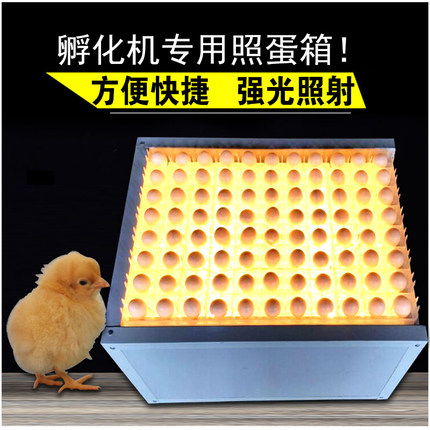 新伟达照蛋箱孵化机专用照蛋器88枚鸡鸭鹅照蛋器孵化设备配件包邮