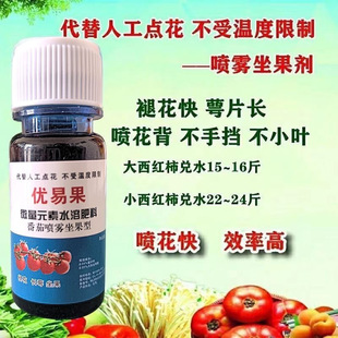 及时雨安易果升级优易果西红柿圣女果授粉喷花点花坐座果番茄美灵