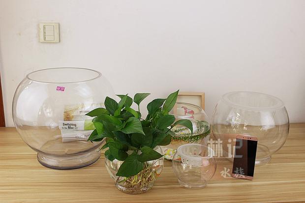 透明玻璃绿萝水培圆形金鱼缸包邮
