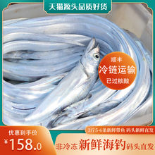 新鲜舟山钓带鱼鲜活小眼睛东海油带鱼整条水产刀鱼非冷冻3斤5 6条
