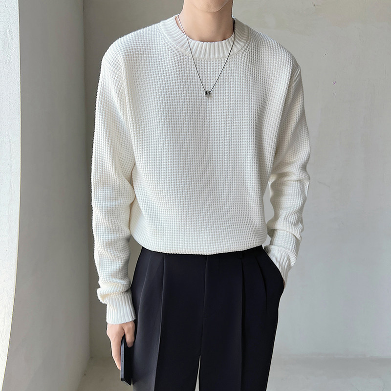 高端轻熟风华夫格毛衣男士秋冬季新款痞帅高级感男装圆领打底线衣