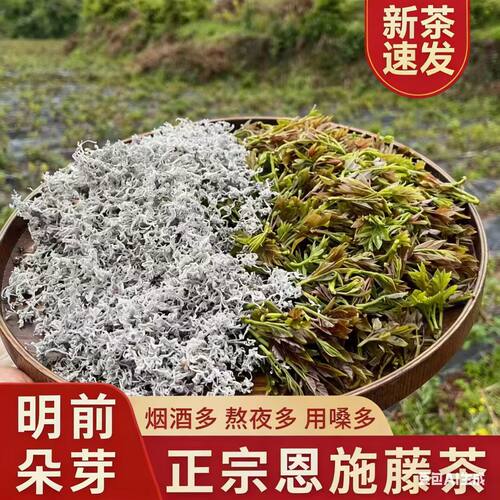来凤土家藤茶2026新茶嫩芽尖天然含硒高黄酮恩施农家茶办公室提神