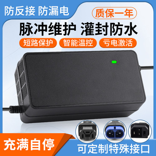 新国标60v智能电动车电瓶充电器适用爱玛电动车充电器60V20AH防水