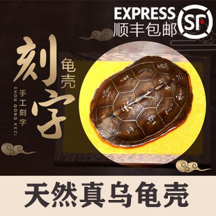 天然手工刻字真乌龟壳文玩盘玩手把件龟甲家居客厅摆件送铜钱礼品
