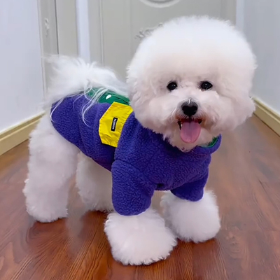 2025新款可牵引狗狗衣服秋冬款小型犬比熊泰迪博美羊羔绒两脚卫衣