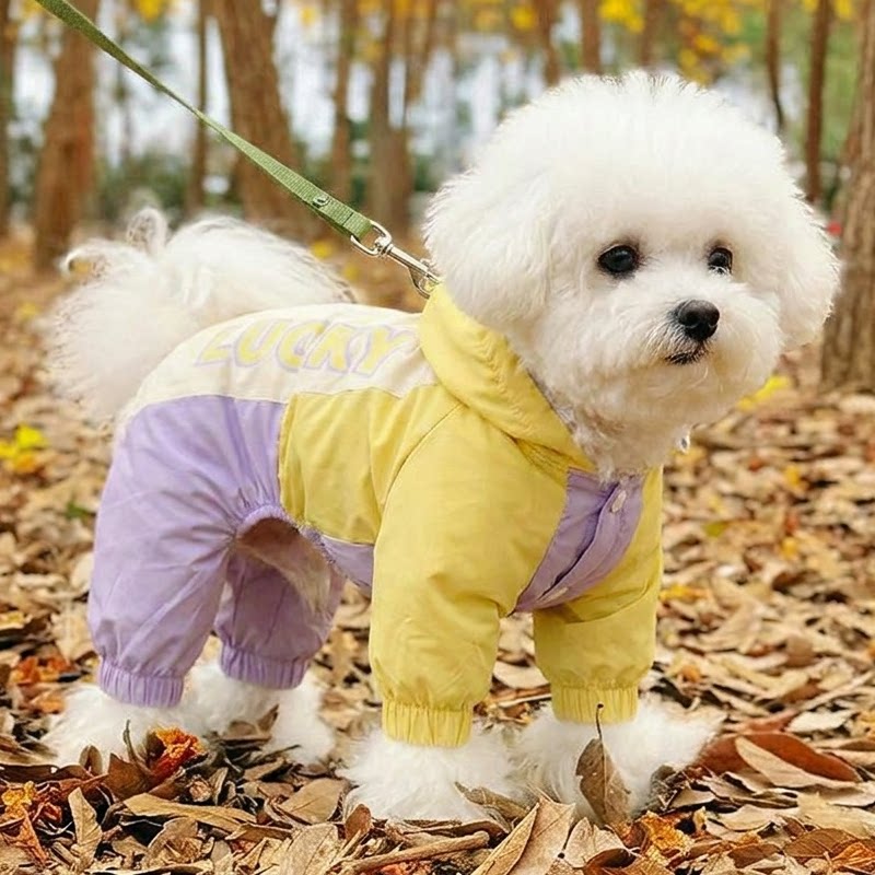 狗狗衣服秋冬季薄款小型犬雪纳瑞泰迪比熊外出防脏防水四脚冲锋衣
