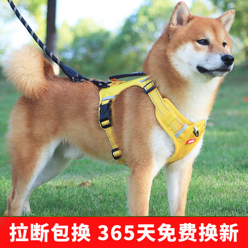 可调节柴犬牵引绳防爆冲不勒勃