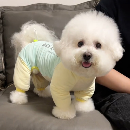 狗狗衣服夏季薄款冰丝凉凉衣背心中小型犬泰迪比熊外出四脚防晒衣