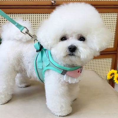 2025夏季新款狗狗牵引绳背心式小型犬比熊泰迪胸背带遛狗绳狗链子