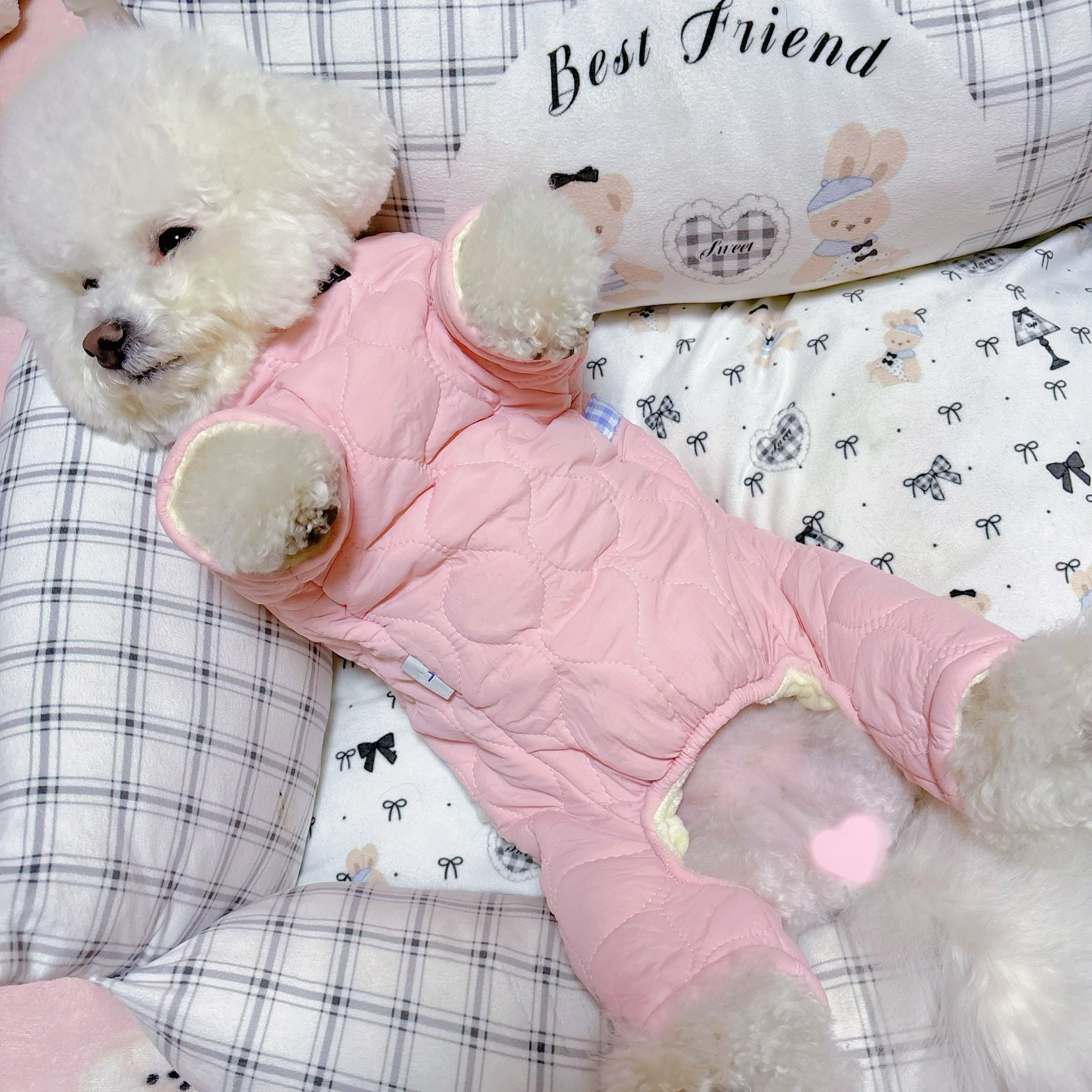 [母狗专用]四脚包肚衣狗狗衣服秋冬季小型犬比熊泰迪保暖护肚棉衣