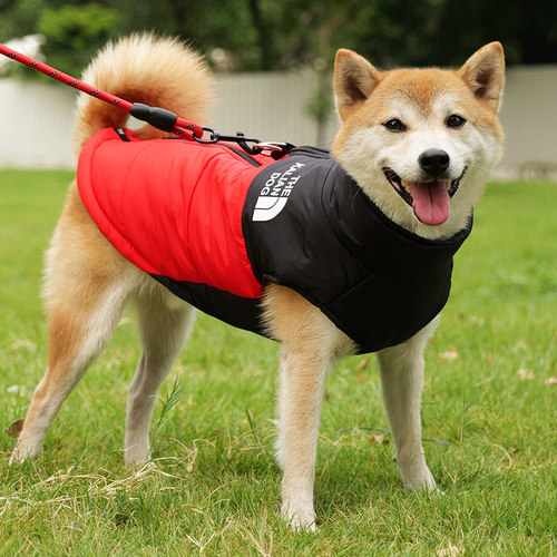 狗面可牵引狗狗衣服秋冬款棉衣中大型犬柴犬金毛冬季加厚保暖马甲