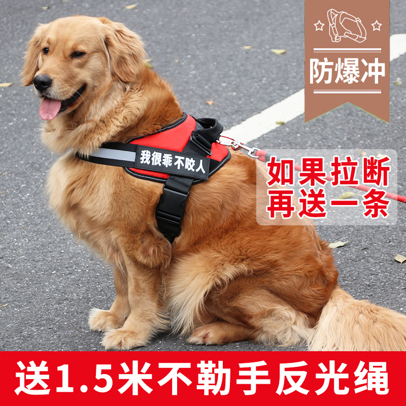 狗狗牵引绳中型大型犬拉布拉多