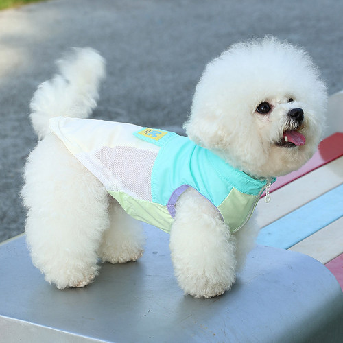 狗狗衣服夏季薄款凉凉衣小型犬比熊泰迪雪纳瑞外出防晒衣背心户外