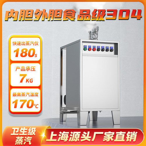 高温电蒸汽蒸汽温度170汽水分离