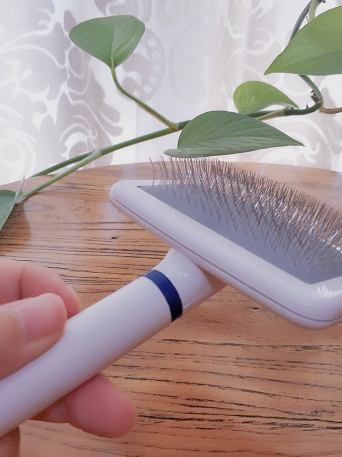 宠物店美容推荐平价针梳神奇小白梳拉毛开结气垫蓬松去毛犬猫通用,宠物/宠物食品及用品,猫狗梳子/排梳,淘宝优惠券,粉丝福利购,淘宝优惠卷