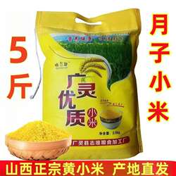 山西大同新小米正宗农家黄小米粥粗粮广灵特产新黄小米