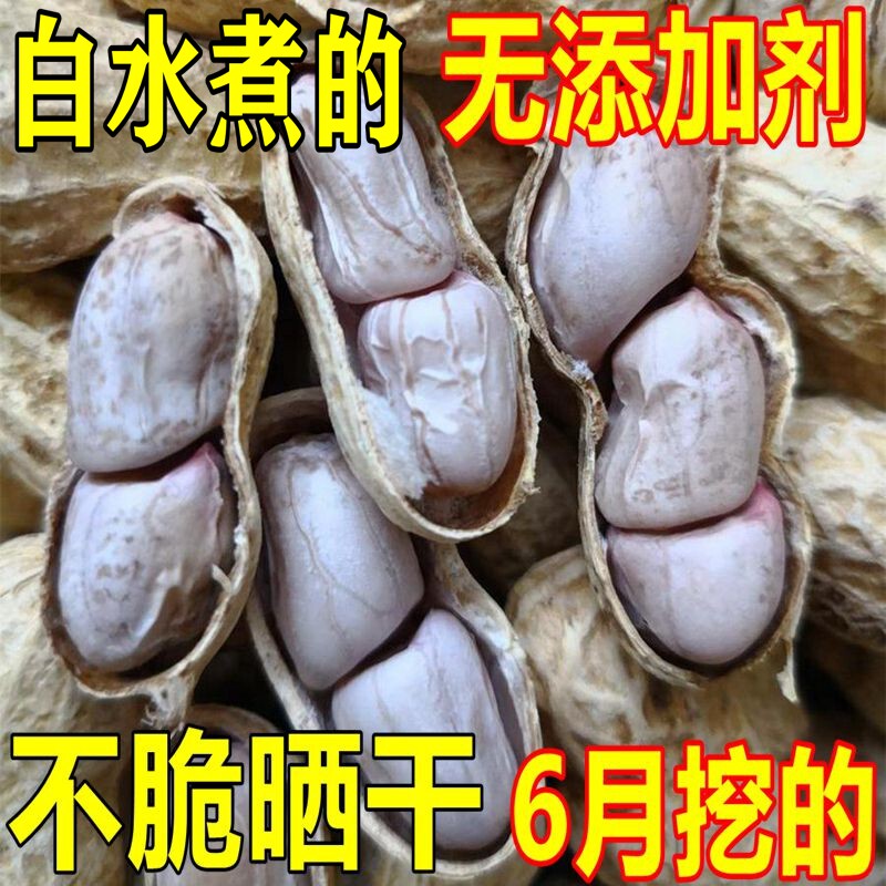 26年7月的九目不加盐白水煮花生晒干无添加剂的孕妇老人小孩零食图片