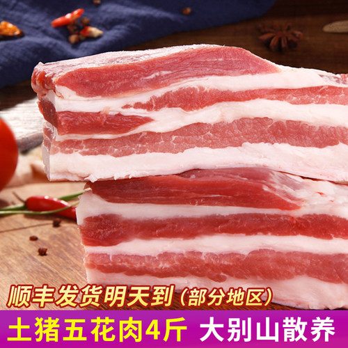 大别山新鲜冷冻红烧五花肉