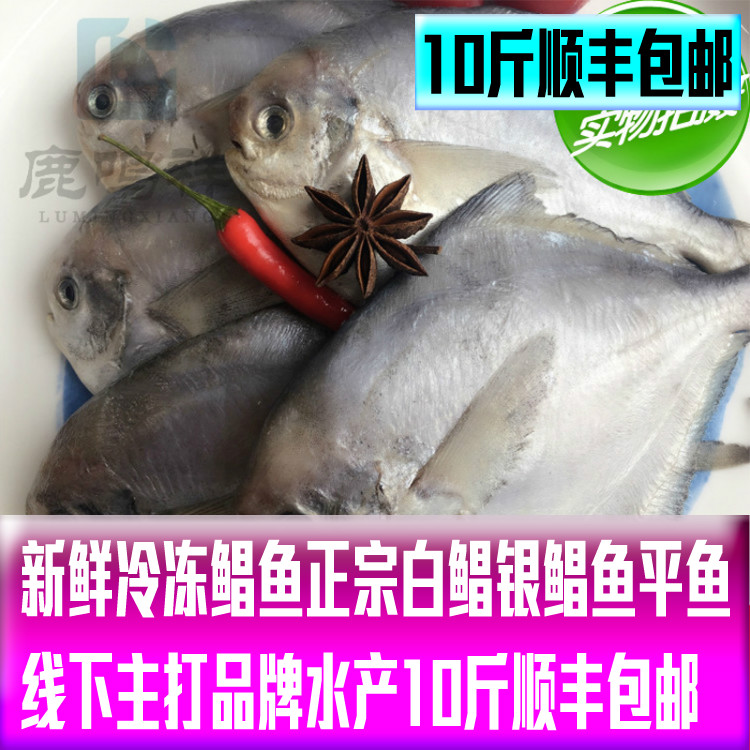 鲳鱼冷冻平鱼银鲳鱼鲜活冷冻免邮白鲳鱼鲳鱼新鲜冷冻10斤顺丰包邮