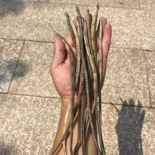 天然大条四角海龙干海针干货滋补煲汤料养生泡酒材料十全大补药酒