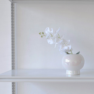 花语 轻奢圆球珠光釉陶瓷花盆绿植蝴蝶兰盆栽室内客厅摆设花盆