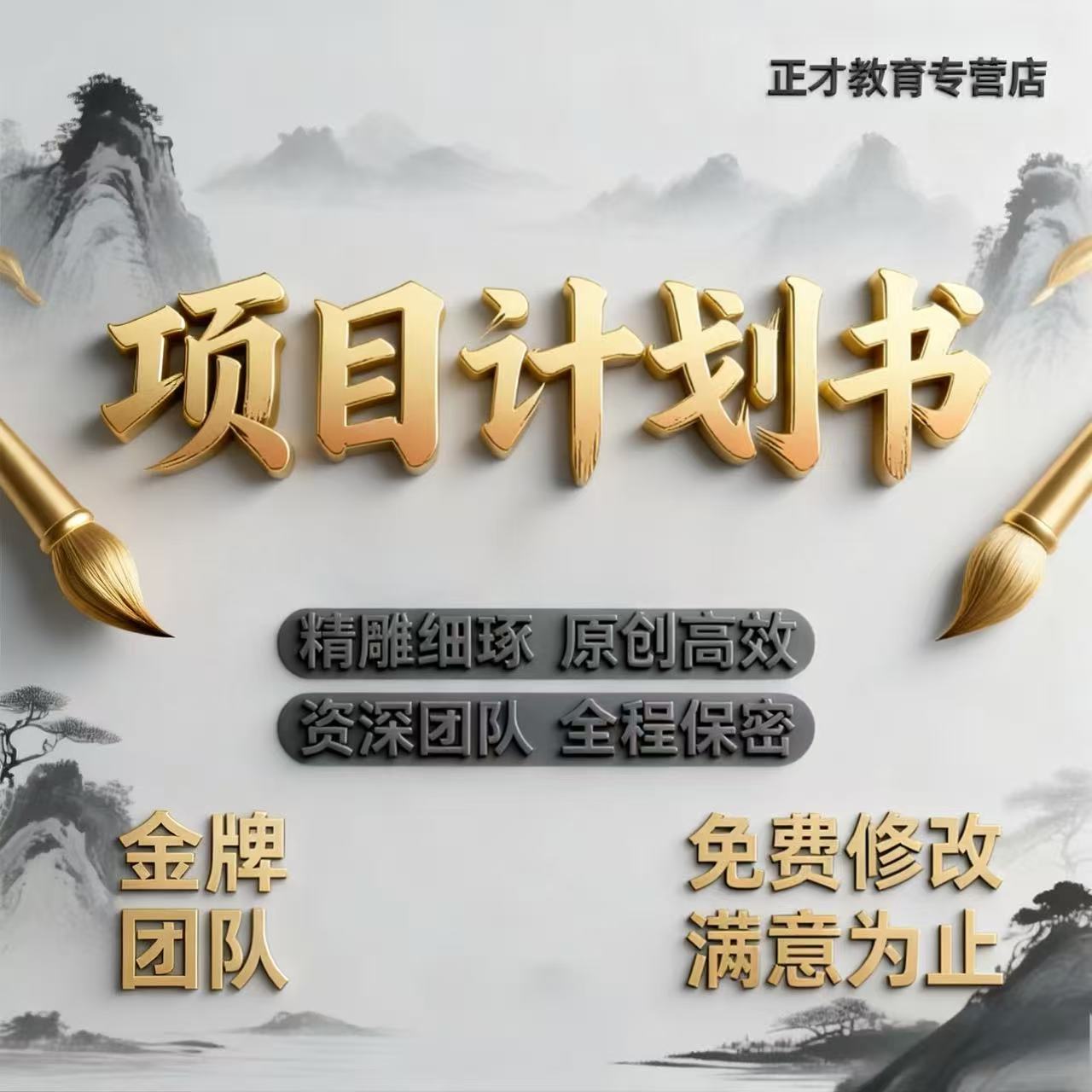 代写企业项目计划书产品开发活动执行方案进度规划预算测算项目代