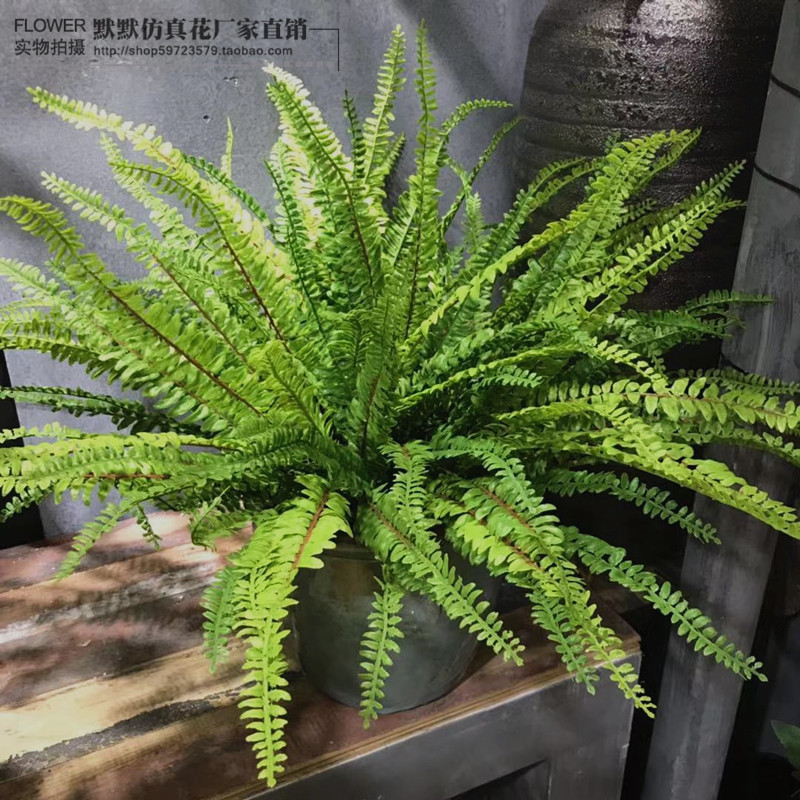 高仿真绿植肾蕨热带雨林蕨类植物排草背景墙餐厅家居装饰软胶手感