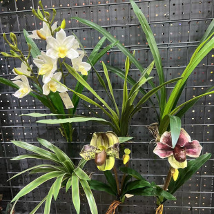 新款仿真把束手感软胶过胶蕙兰兰花叶钢草拖鞋兰假山造景装饰绿植