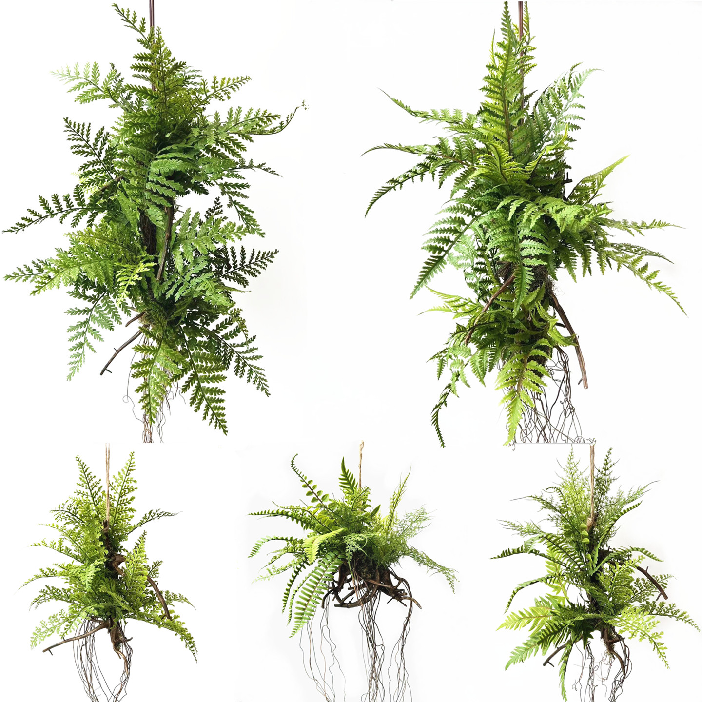 仿真防晒蕨类垂挂绿植屋顶装饰