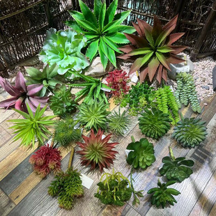 仿真多肉植物造景搭配装饰假软胶多肉石莲佛手莲松果百日菊红绿色