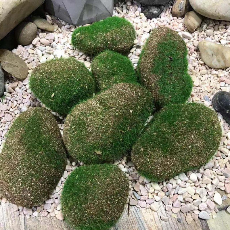 仿真青苔石头假石块锯末青苔微景观相框盆栽墙上装饰苔藓块咖啡色