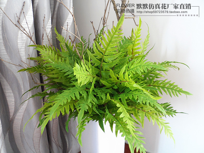 仿真植物墙狼尾蕨叶子