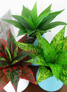 新款仿真手感胶片布 绿萝万年青一帆风顺红色叶植物墙装饰叶厂家