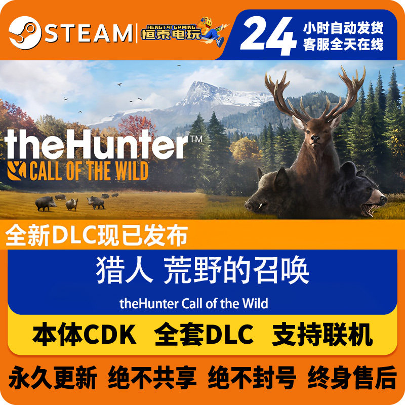 Steam正版国区CDK/猎人荒野的召唤DLC全套DLC解锁/本体激活码CDK图片