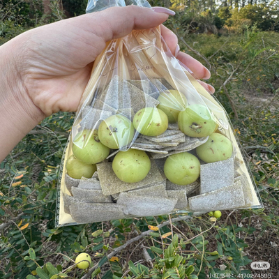 新品油柑梅片蜜饯果脯蜜饯休闲零食普宁特产话梅独立包装休闲零食