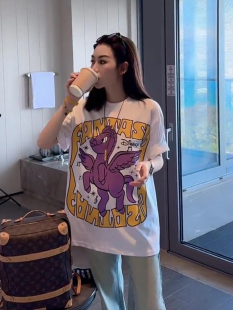 2024新款美式复古梦幻马印花休闲短袖T恤女夏宽松纯棉小众上衣