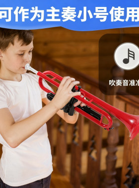 儿童成人便携式塑料小号降B调C调