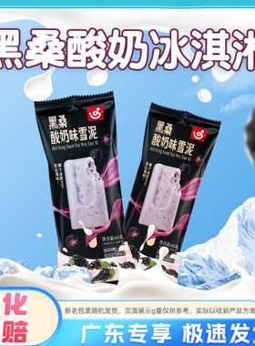 新品粤宝黑桑酸奶雪泥雪糕