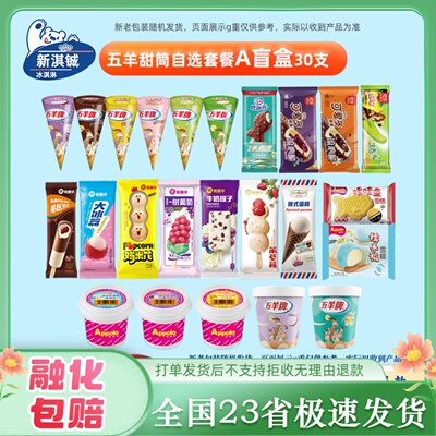 25年五羊甜筒飞鱼可爱多绿舌头冰淇淋小布丁冰桑果玉米香雪糕