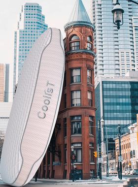 CoolisT顾乐仕天然生物基 玉梦枕 记忆绵助眠护颈奢享成人枕头