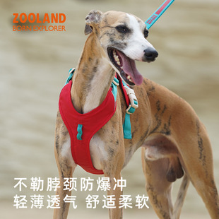 ZOOLAND狗狗胸背牵引绳小中大型犬遛狗工字型不勒脖专用宠物链子