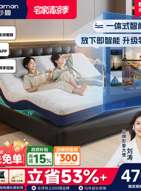 帕沙曼电动智能床垫带按摩可升降
