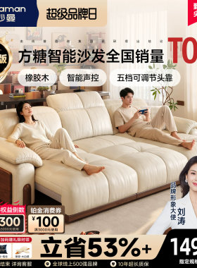 帕沙曼方糖实木真皮功能电动沙发