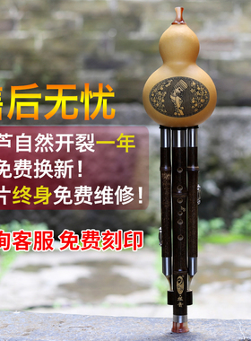 傣韵葫芦丝学生入门乐器儿童初学专业演奏小DGFC紫竹降b调葫芦丝