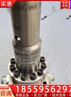 Walther 扭矩泵 979740 【议价】