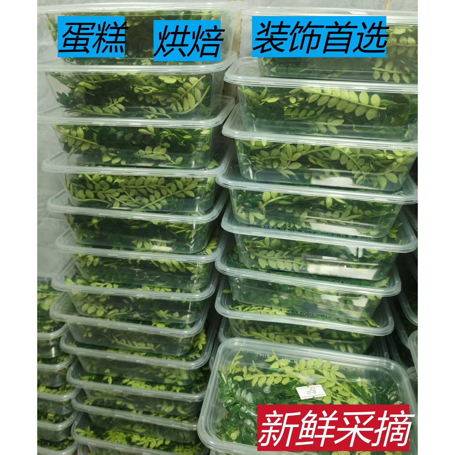 新鲜清香木西餐烘培装饰胡椒木叶子摆盘点缀花草蛋糕烘焙甜品专用