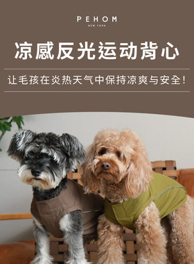 Pehom涼感反光運動背心网状有效夏季降温外套超轻宠物猫狗凉凉衣