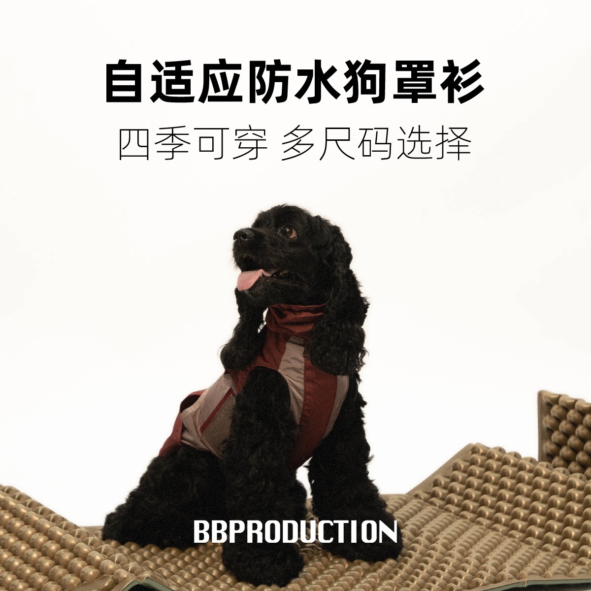自适应猫狗Vortex冲锋衣机能服