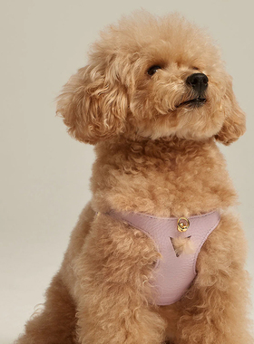 小体型狗胸背 意大利Branni进口手工Juno超软牛皮不磨毛猫狗背带